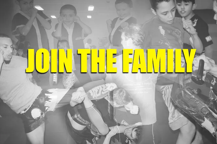Thornton Martial Arts and Fitness Picture 8