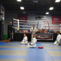 Thornton Martial Arts and Fitness ico