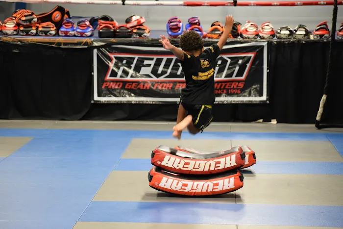 Thornton Martial Arts and Fitness Picture 2