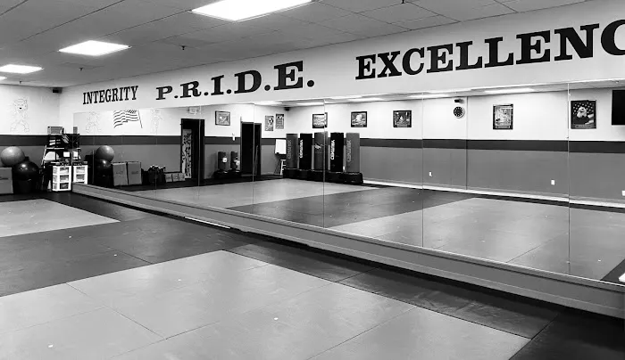 American Karate Center Picture 3