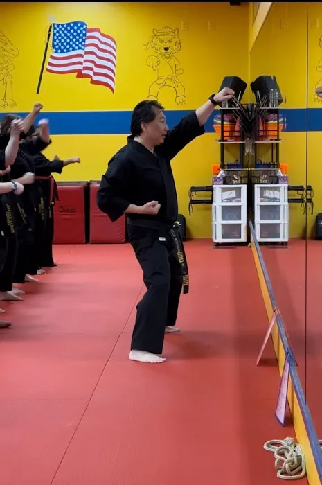 American Karate Center Picture 4
