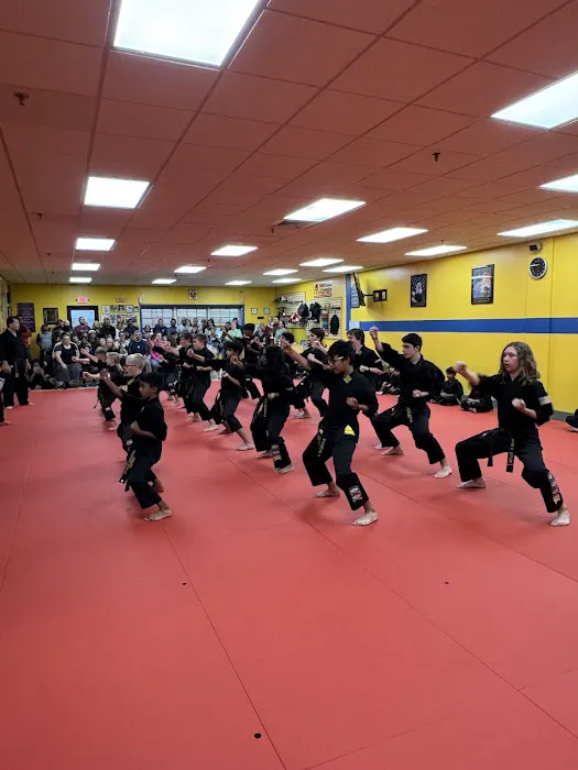 American Karate Center Picture 5