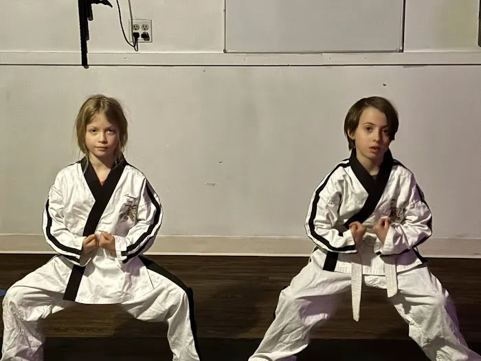 Lunging Tiger Karate Picture 5