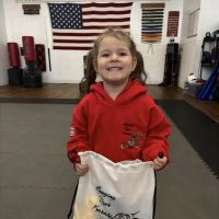 Lunging Tiger Karate ico