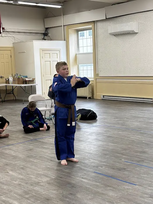 Lunging Tiger Karate Picture 4
