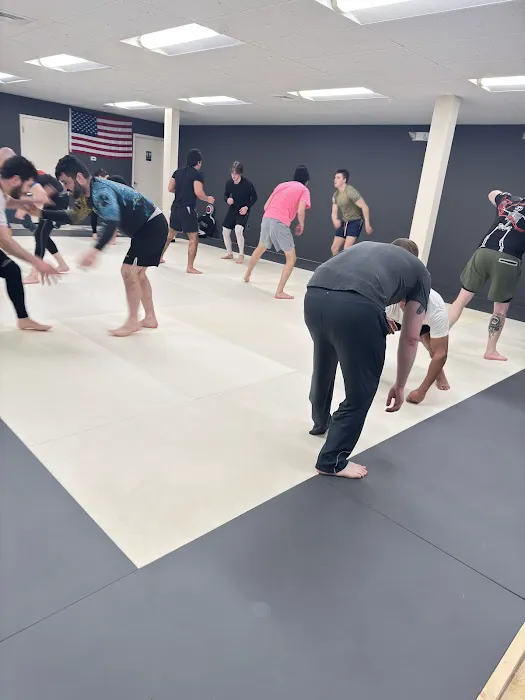 Agoge Jiu Jitsu Picture 3
