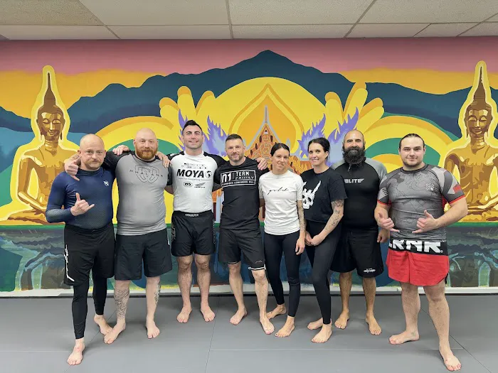 Agoge Jiu Jitsu Picture 9
