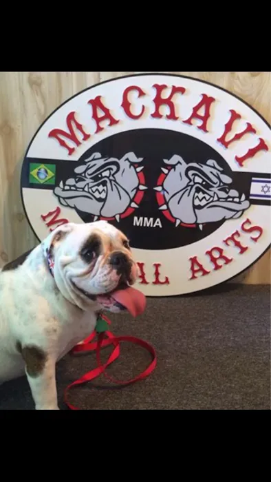 Mackavi Martial Arts Picture 4