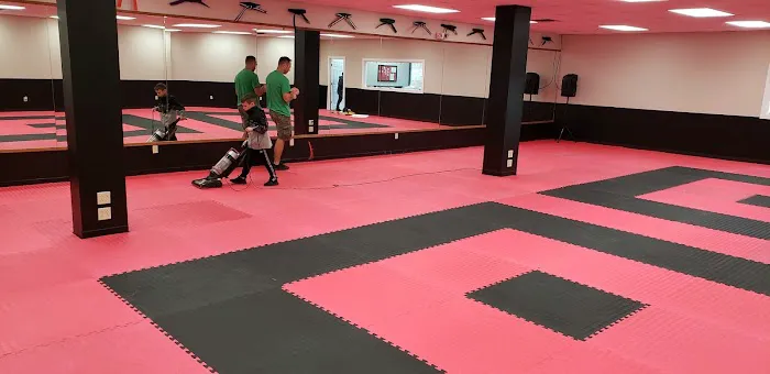 Black Dragon Martial Arts Academy, LLC Picture 3
