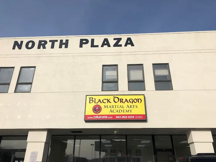 Black Dragon Martial Arts Academy, LLC Picture 6