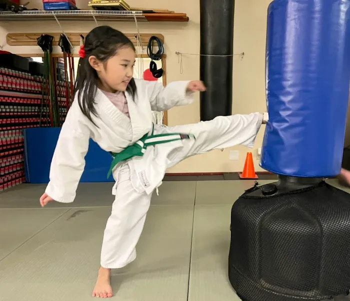 Japan Karate Association of Montville Picture 10