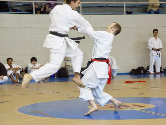 Japan Karate Association of Montville Picture 1