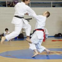 Japan Karate Association of Montville ico