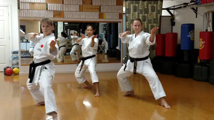 Japan Karate Association of Montville Picture 2