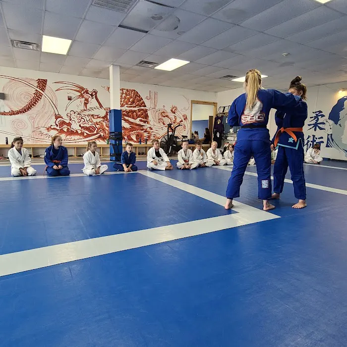 Elevate Dojo Picture 1