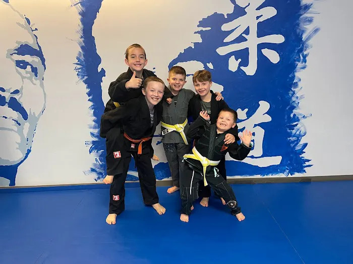 Elevate Dojo Picture 2
