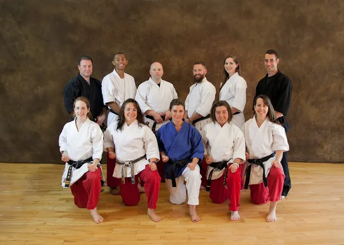 Ichiban Karate and Fitness Picture 7