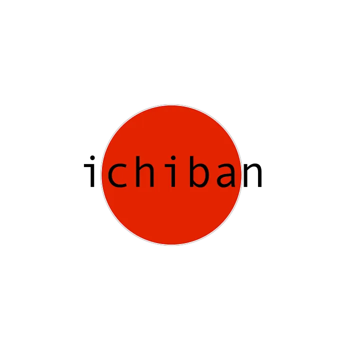 Ichiban Karate and Fitness Picture 10