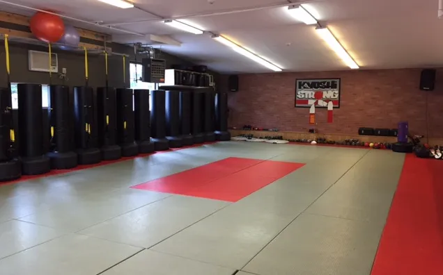 Ichiban Karate and Fitness Picture 6