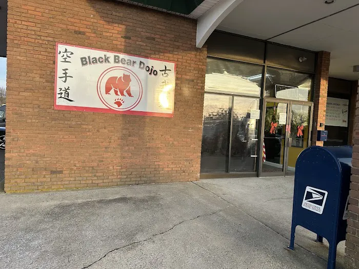 Black Bear Dojo Picture 6