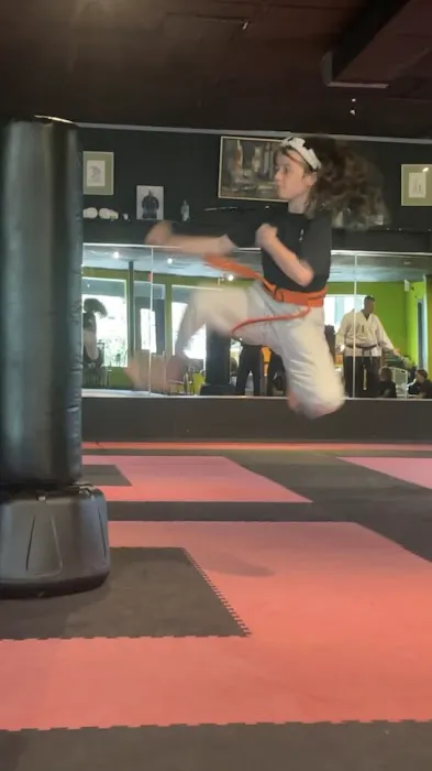 Babcock's Martial Arts & Kickboxing Picture 1