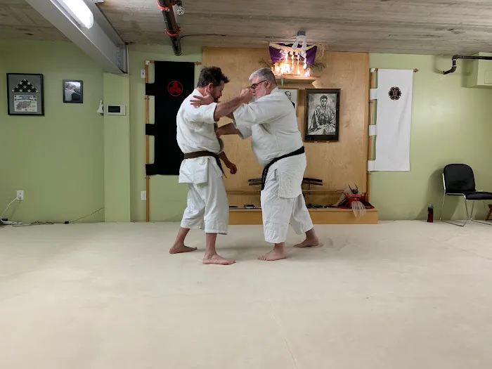 Bushidokai Traditional Martial Arts Dojo Picture 7
