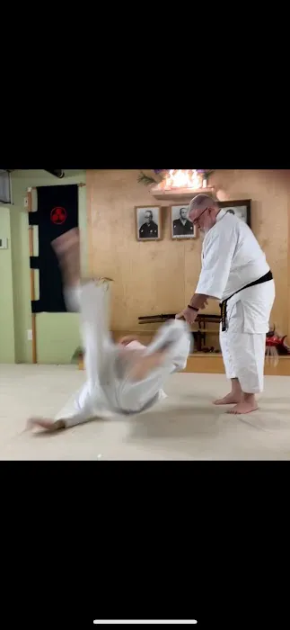 Bushidokai Traditional Martial Arts Dojo Picture 4