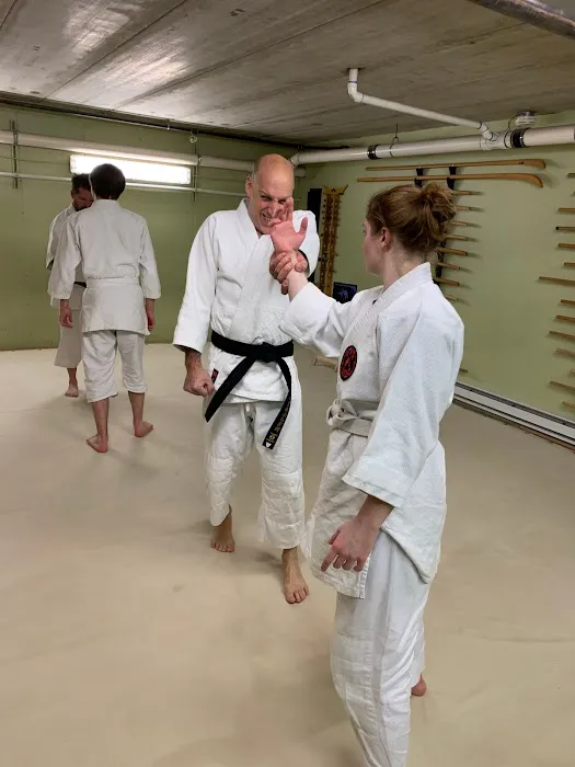 Bushidokai Traditional Martial Arts Dojo Picture 8