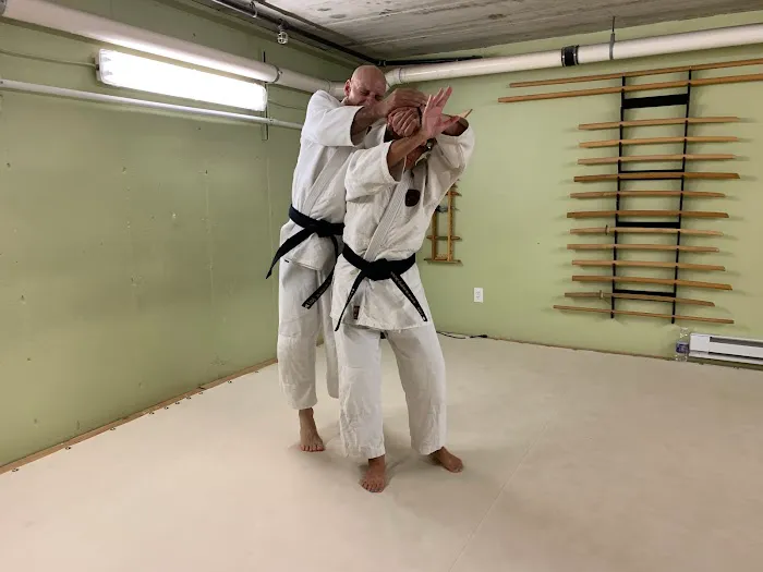 Bushidokai Traditional Martial Arts Dojo Picture 1
