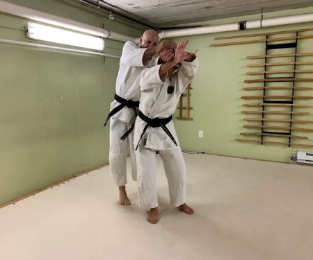 Bushidokai Traditional Martial Arts Dojo