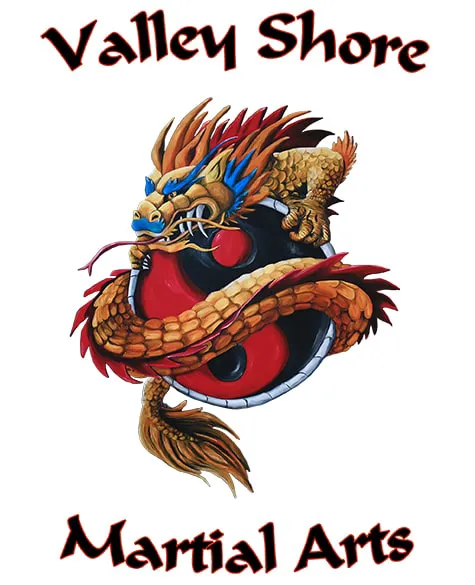 Valley Shore Martial Arts, LLC Picture 5