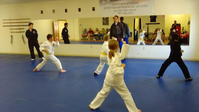 USA Kempo Academy Picture 4