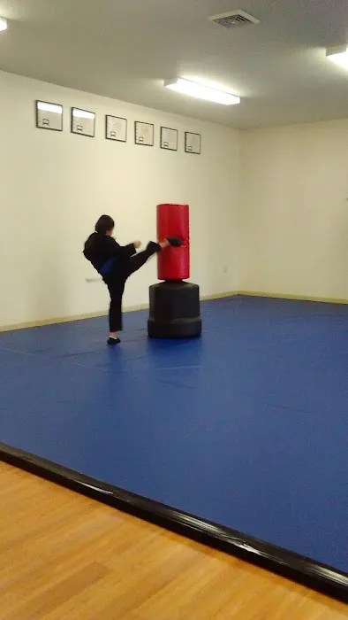 USA Kempo Academy Picture 6