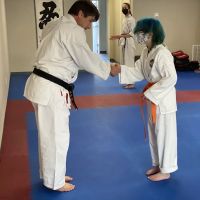 Chuck Merriman's Karate International ico