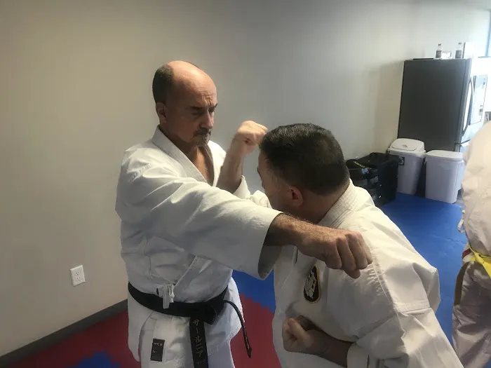 Chuck Merriman's Karate International Picture 3