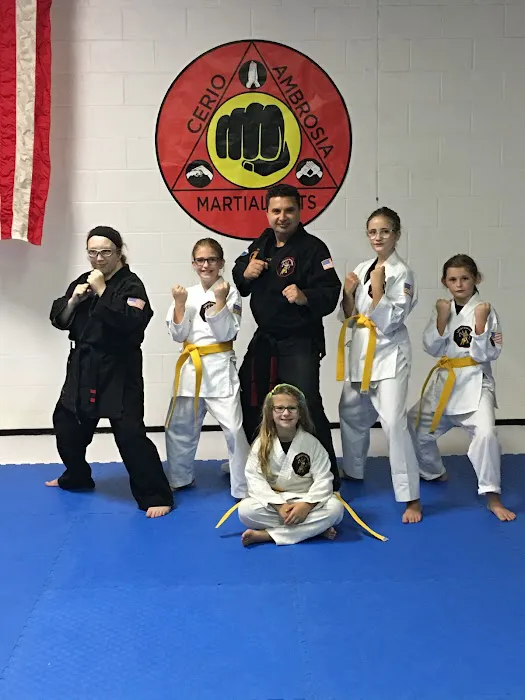 Cerio Ambrosia Martial Arts Picture 2