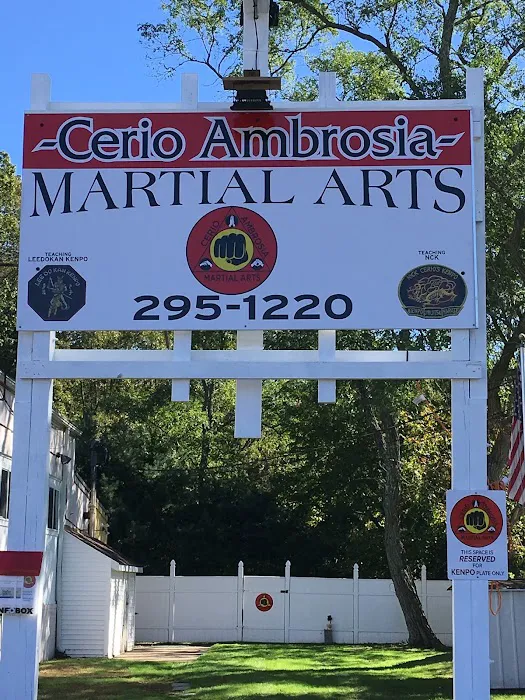 Cerio Ambrosia Martial Arts Picture 4