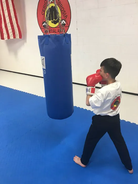 Cerio Ambrosia Martial Arts Picture 6