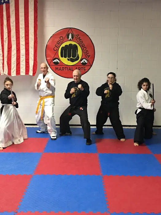 Cerio Ambrosia Martial Arts Picture 8