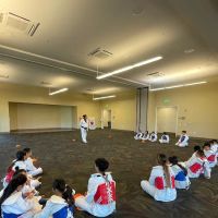 Tropic Lightning Taekwondo Hawaii ico