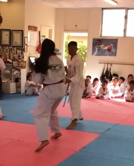 Tropic Lightning Taekwondo Picture 2
