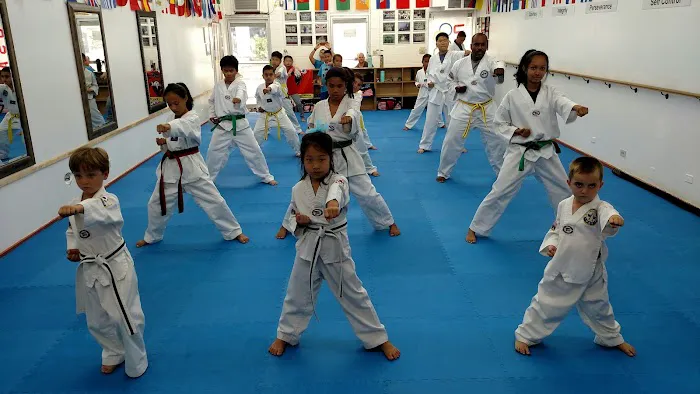 Hawaii Elite Taekwondo Academy Inc Picture 3