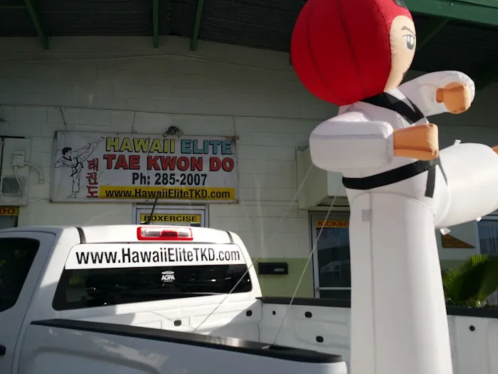 Hawaii Elite Taekwondo Academy Inc Picture 1