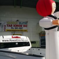 Hawaii Elite Taekwondo Academy Inc ico
