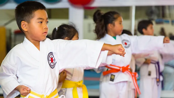 Japan International Karate Center - Aiea Picture 1