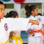 Japan International Karate Center - Aiea