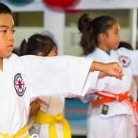 Japan International Karate Center - Aiea ico