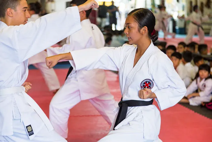 Japan International Karate Center - Aiea Picture 6