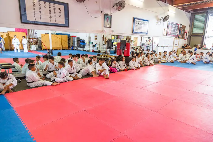 Japan International Karate Center - Aiea Picture 9