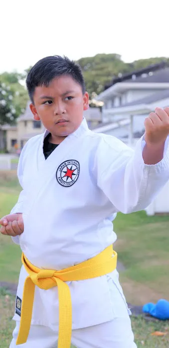 Japan International Karate Center - Aiea Picture 4